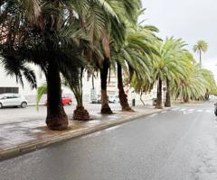 Local comercial en El Palmeral photo 0