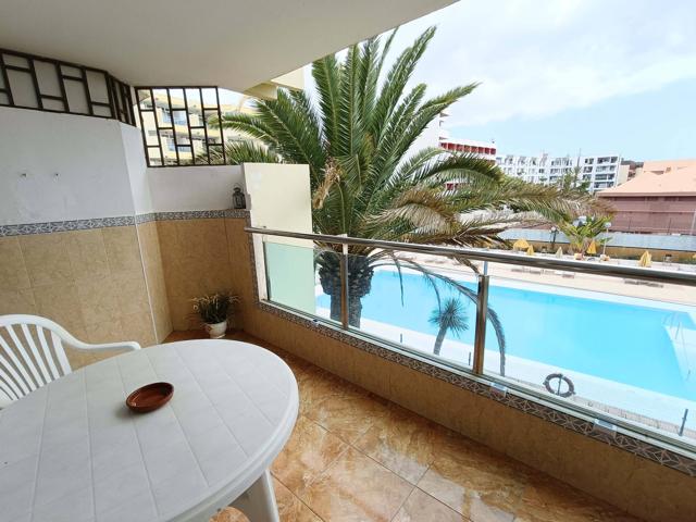 Acogedor Apartamento Avendia Tirajana en Playa del Inglés photo 0