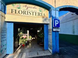 Traspaso de floristería en pleno funcionamiento en el centro de Güímar photo 0