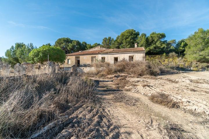 FINCA RUSTICA CON VIVIENDA PARA REHABILITAR EN PILAR DE LA HORADADA photo 0