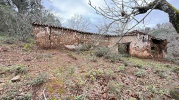 FINCA RÚSTICA 10 Ha ENTRE FUENTEHERIDOS Y CASTAÑO DEL ROBLEDO (HUELVA) photo 0