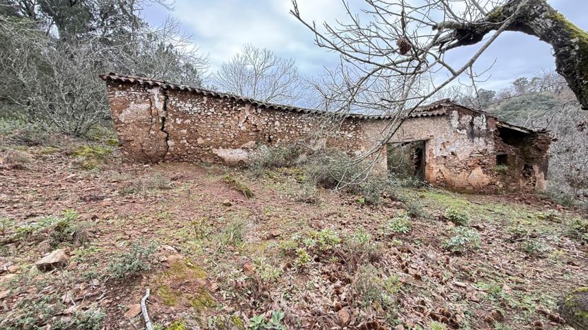 FINCA RÚSTICA 10 Ha ENTRE FUENTEHERIDOS Y CASTAÑO DEL ROBLEDO (HUELVA) photo 0