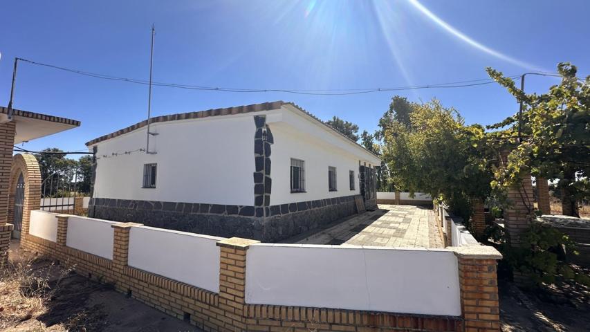 FINCA ECOLÓGICA DE 5 HA CON CASA EN GIBRALEÓN photo 0