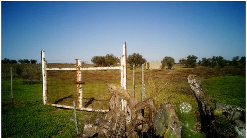 FINCA RÚSTICA DE 5,82 HECTÁREAS EN CONCESIÓN ADMINISTRATIVA EN ALMONTE (HUELVA) photo 0