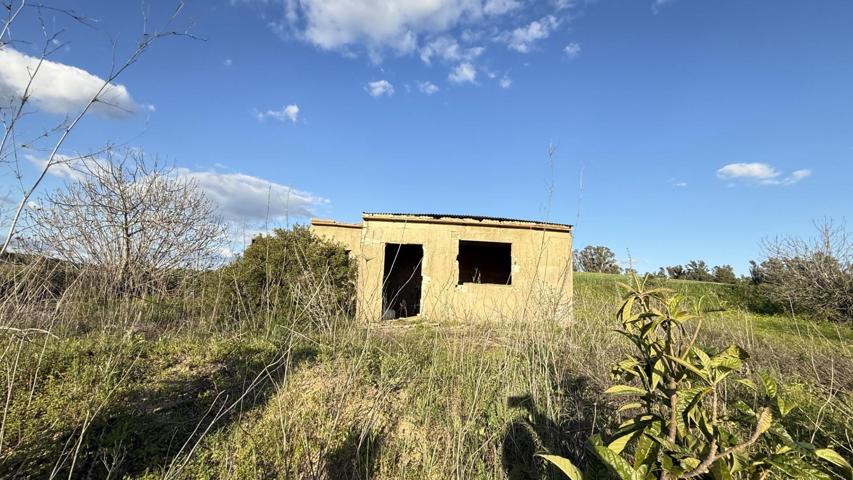 FINCA RÚSTICA USO AGRARIO EN GIBRALEÓN (HUELVA) photo 0
