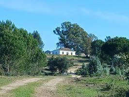 FINCA DE 47 HECTÁREAS JUNTO AL PARQUE DE DOÑANA (HUELVA) photo 0