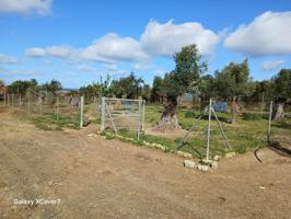 FINCA RUSTICA PARA ANIMALES Y CULTIVO photo 0