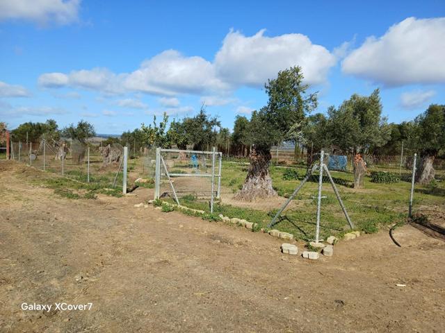 FINCA RUSTICA PARA ANIMALES Y CULTIVO photo 0