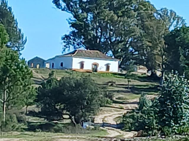 FINCA DE 47 HECTÁREAS JUNTO AL PARQUE DE DOÑANA (HUELVA) photo 0