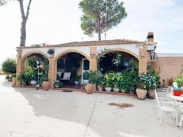 FINCA CON VIVIENDA EN BONARES (HUELVA) photo 0