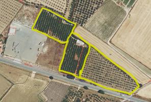 FINCA RÚSTICA NARANJOS Y ACEITUNAS 22 ha EN MANZANILLA HUELVA photo 0