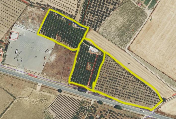 FINCA RÚSTICA NARANJOS Y ACEITUNAS 22 ha EN MANZANILLA HUELVA photo 0