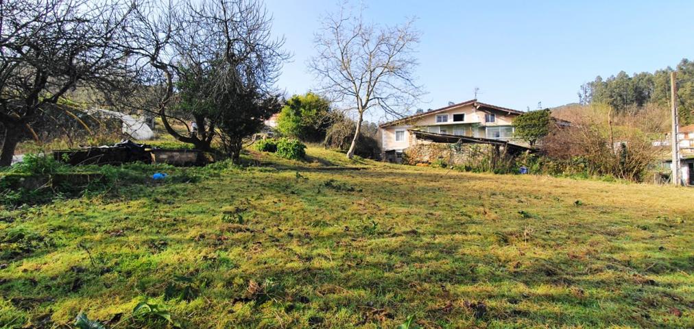 Casa y terreno de 3.000 m2. photo 0
