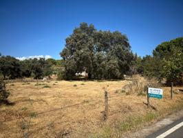 PARCELA DE TERRENO EN LLANOS DE ARJONA - TRASSIERRA. photo 0