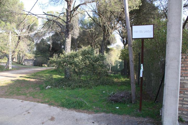 PARCELA EN CERRO MURIANO photo 0