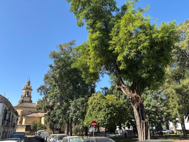 OPORTUNIDAD DE NUEVO PROYECTO EN LA MAGDALENA photo 0