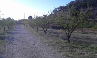 SE VENDEN PARCELAS URBANAS SIERRA DE RICOTE photo 0