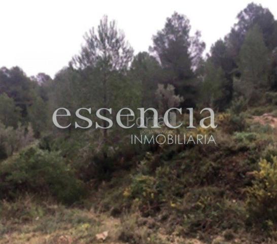 Finca rústica a la venta por 72.000€ de 166.200m² en calle paraje font del garrofer-jericull, nº s-n photo 0