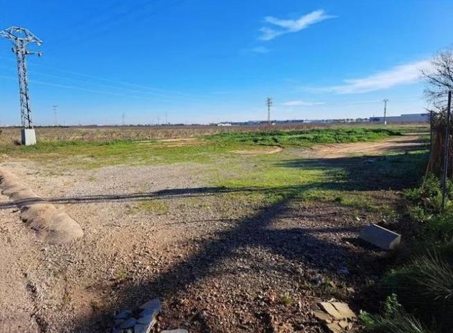 Parcelas rústicas en Carlet photo 0