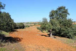 Terreno en alrededores de Don Álvaro! photo 0