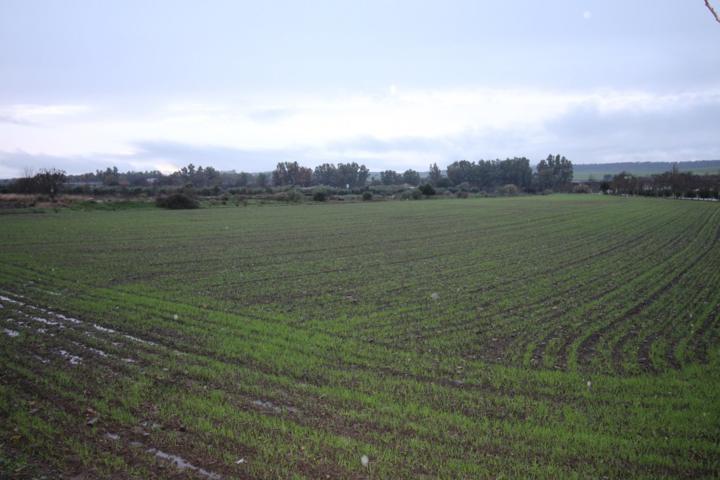 Suelo urbano en Aljucén photo 0