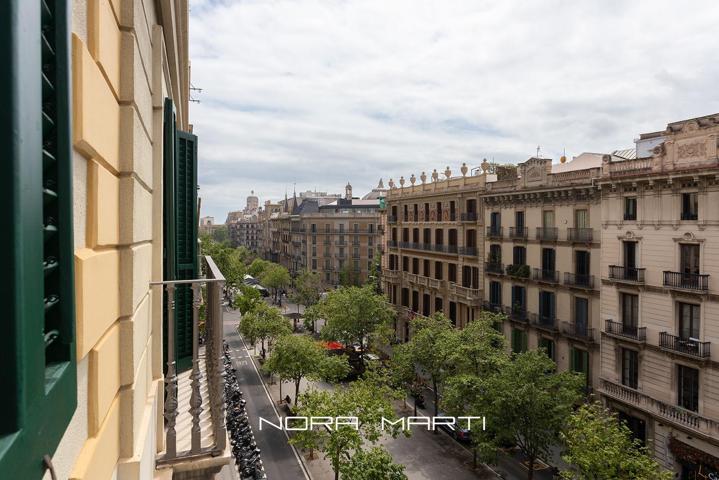 EXCLUSIVA VIVENDA REFORMADA EN RAMBLA CATALUNYA photo 0
