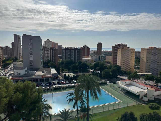 Piso En venta en Juzgados, Benidorm photo 0