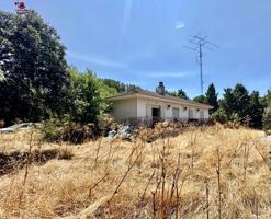 Magnífica parcela de 2.639m2 con chalet de 117m2 construido en una planta con piscina independiente . photo 0