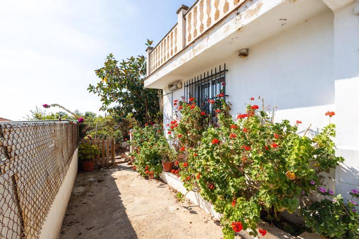 PAREADO RÚSTICO EN DISEMINADO LLIRIA photo 0