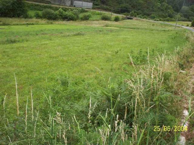 Terreno en Ames - Cornido photo 0