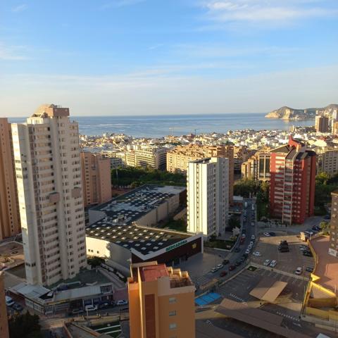 Vive en el corazón de Benidorm! photo 0