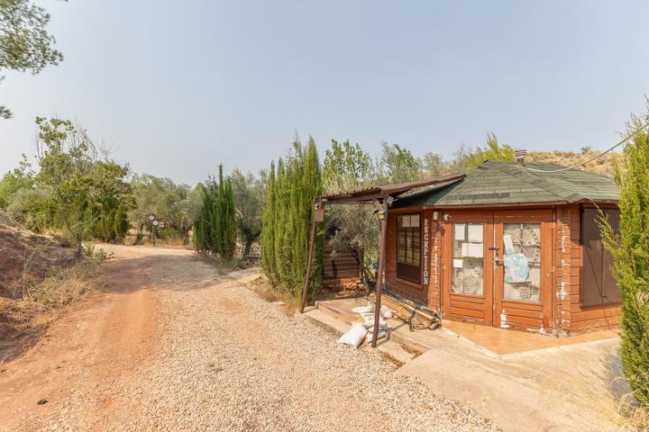 Espectacular Finca!!! Gran oportunidad de Inversión Alborache!!! photo 0