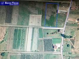 SE VENDE FINCA RUSTICA EN DEHESAS CON BUEN ACCESO photo 0