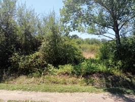 SE VENDE PARCELA DE 2.500 M2 CON LUZ Y AGUA CERCA photo 0
