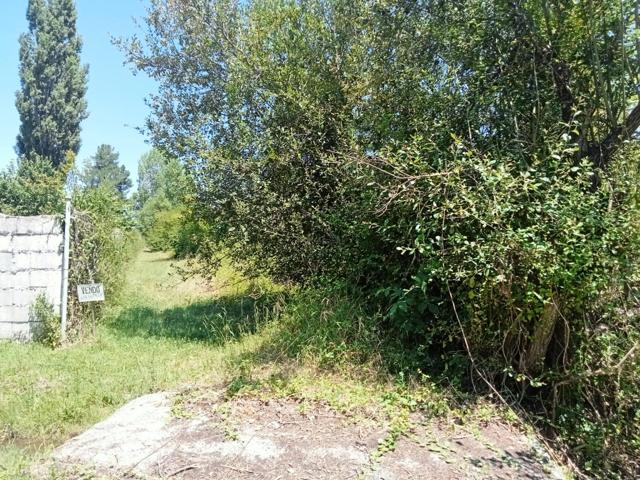 SE VENDE FINCA RUSTICA DE 2.500 M2 CON LUZ Y AGUA photo 0