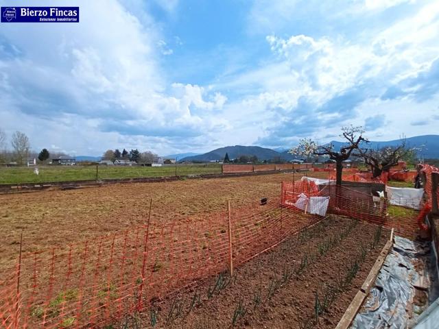 FINCA RUSTICA EN CUATROVIENTOS photo 0