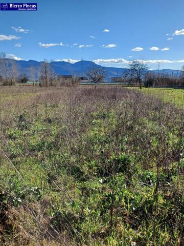 SE VENDE FINCA RUSTICA EN CAMPONARAYA DE 2.206M2 photo 0