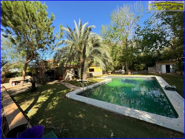 Parcela de Oportunidad en Santomera con Construcción Recreativa y Piscina 🏡💦 photo 0