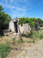 PARCELA EN TÍJOLA , ALMERÍA . photo 0