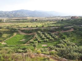 CORTIJO CON TERRENO A REFORMAR EN URRÁCAL, ALMERÍA photo 0