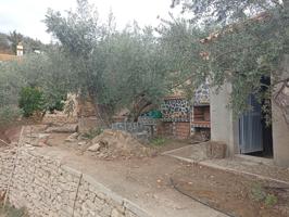 casa con terreno canjayar PARAJE EL MAJUELO con olivos y arboles frutales y agua de la comunidad photo 0