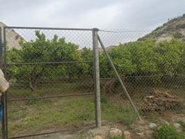 Terreno de naranjos canjayar PARAJE EL MAJUELO con olivos y arboles frutales y agua de la comunidad photo 0