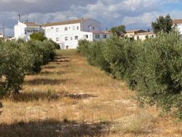 ALCÓNTAR ( EL HIJATE DE ALMERÍA ).PARCELA CON VIVIENDA photo 0