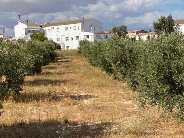 ALCÓNTAR ( EL HIJATE DE ALMERÍA ).PARCELA CON VIVIENDA photo 0