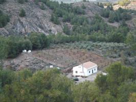 Casa de una planta con terreno de 8.000 m2 en Purchena. ( Almería ). photo 0