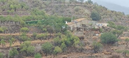 VENTA EN SIERRO ( ALMERÍA ) DE TERRENO PARA CAZA. photo 0