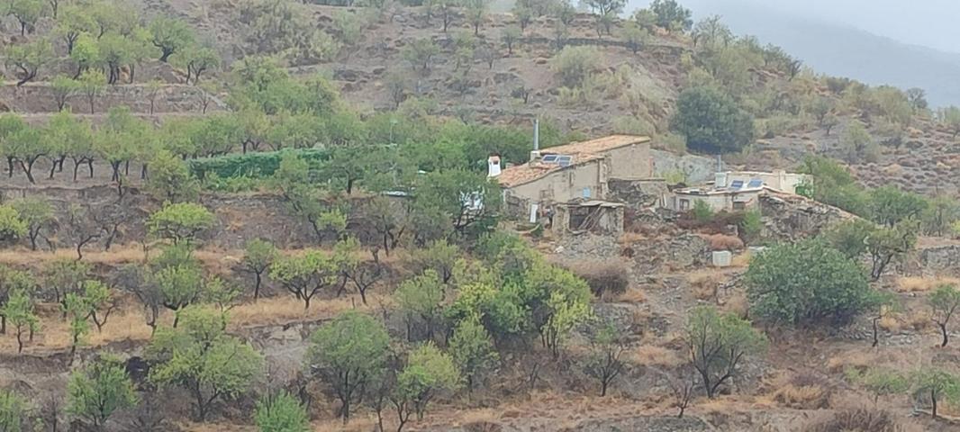 VENTA EN SIERRO ( ALMERÍA ) DE TERRENO PARA CAZA. photo 0