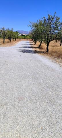 EN SERÓN ( ALMERÍA ). VENTA DE CASA RUINOSA CON TERRENO. photo 0