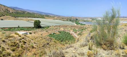 VENTA EN OLULA DEL RÍO ( ALMERÍA ). DE PARCELA INDUSTRIAL. photo 0