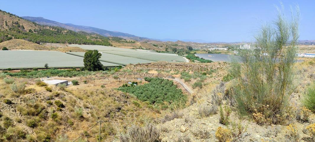 VENTA EN OLULA DEL RÍO ( ALMERÍA ). DE PARCELA INDUSTRIAL. photo 0